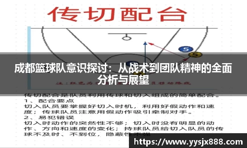 OD体育官方网站